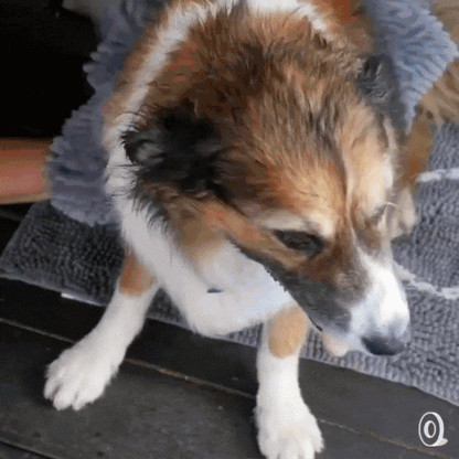 FurCare™ – Bath Grooming Glove | 2-in-1 Brush + Drying Towel | Fast Water Pull